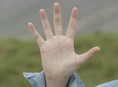 貫手紋」。注意真正的斷掌,是感情線與智慧線合而為一,但有一