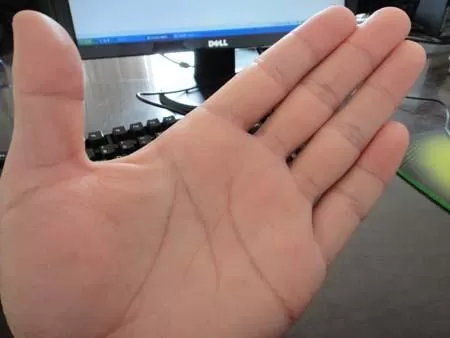 1、什麼是斷掌?斷掌是命理手相學中對手