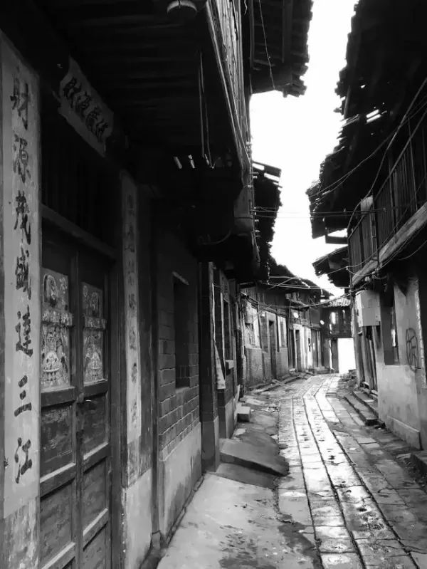 崇仁河、宜黃河如扇形十彎九曲流向臨川,在臨川北面匯合流入贛江和鄱陽湖,成